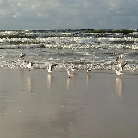 Lawendowa Wyspa Klub Nadmorski Деревянный коттедж *