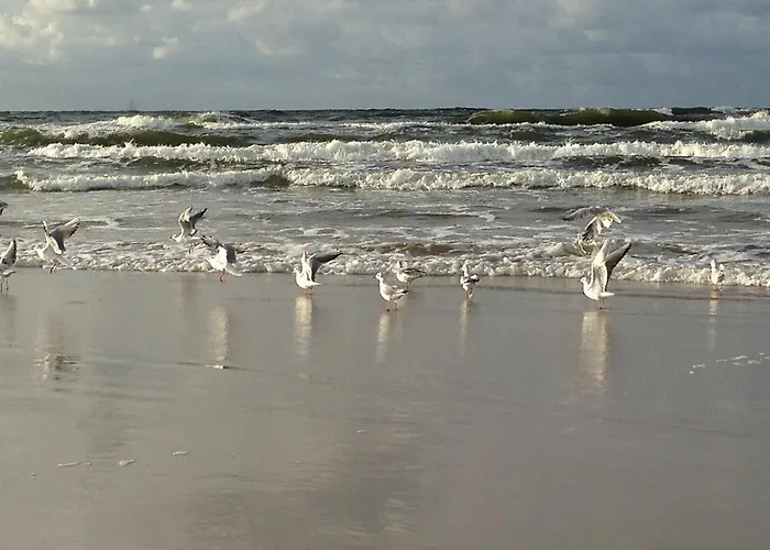 Lawendowa Wyspa Klub Nadmorski Lodge *